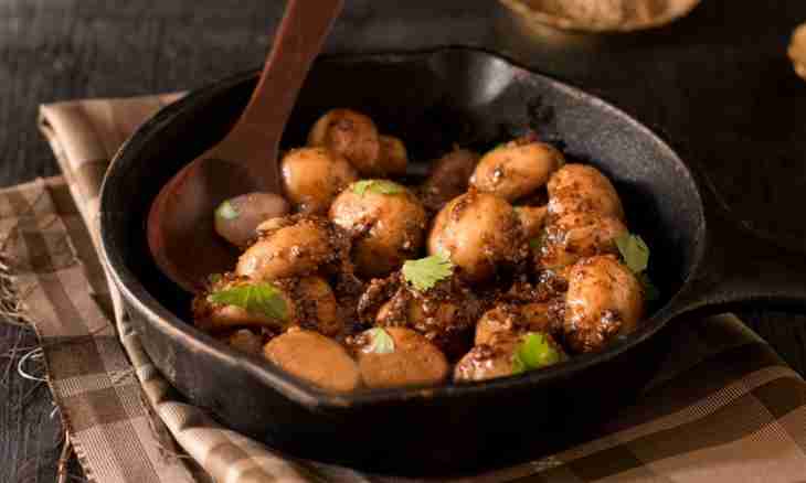How to prepare mushrooms in a spicy brine