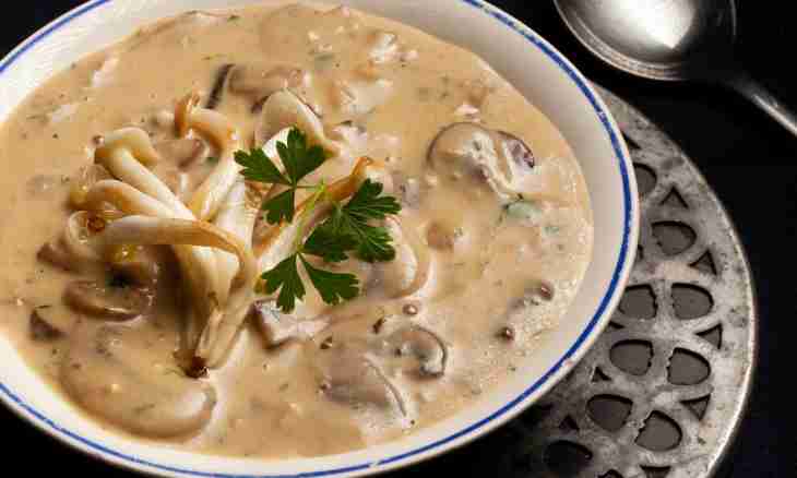 How to cook the frozen mushrooms soup