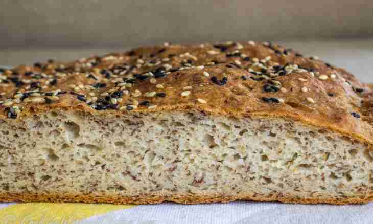 How to make bread without yeast