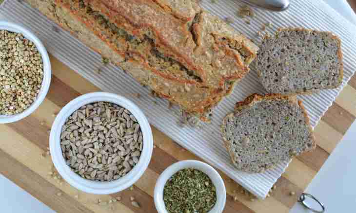 How to grow up rye ferment for home-made bread