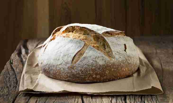 How to bake bread on ferment