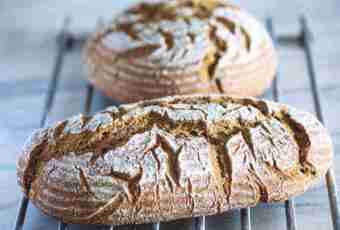 The recipe of baking of a rye bread of the house in an oven