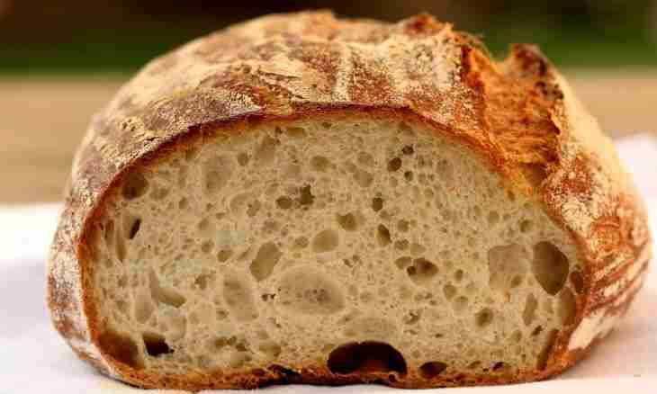 What fastest recipe for bread