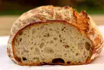 What fastest recipe for bread