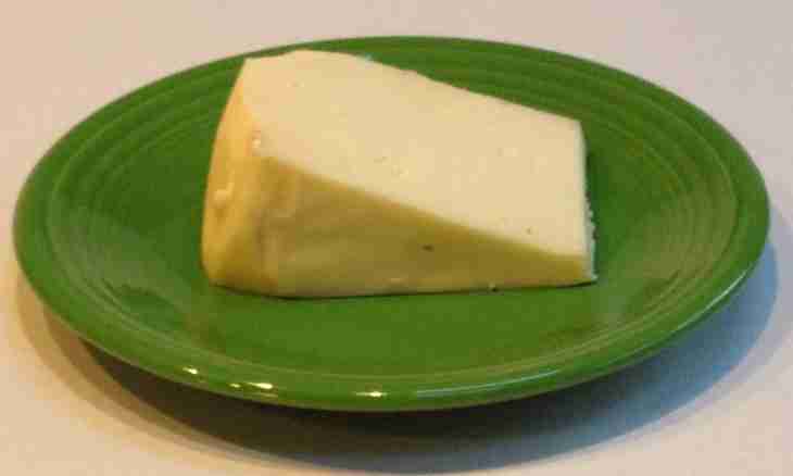 How to make a hard cheese in house conditions