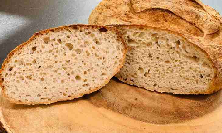 The recipe of bread without flour