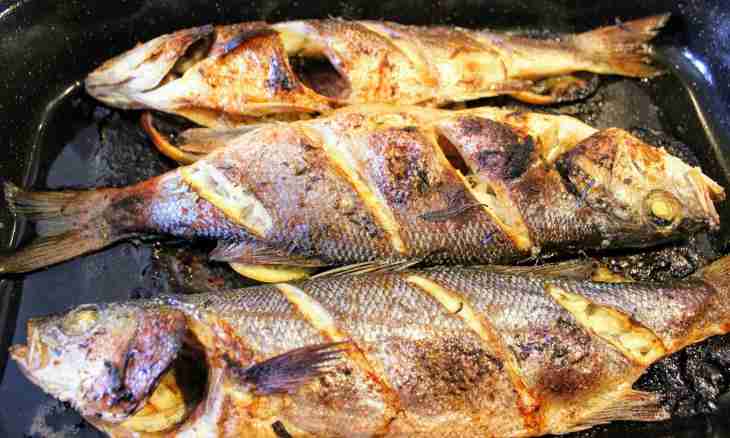 How to prepare a trout in an oven