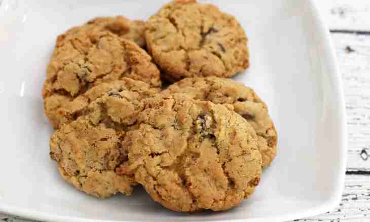 How to make cookies from oat-flakes