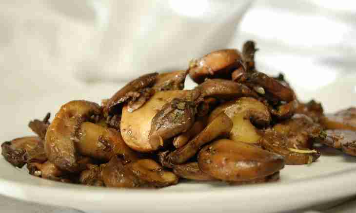 How to fry champignons