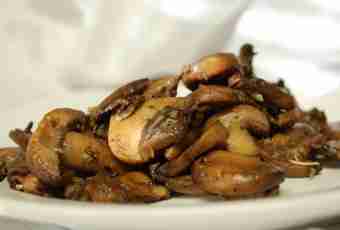 How to fry champignons