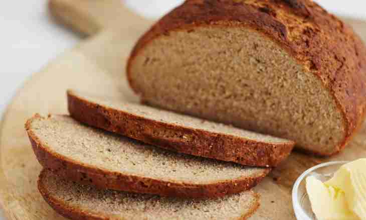 Rye bread on ferment: features of starting test
