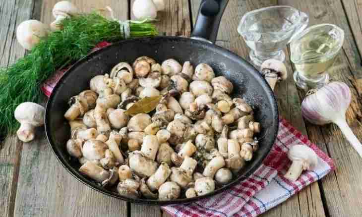 How quickly and tasty to pickle champignons?