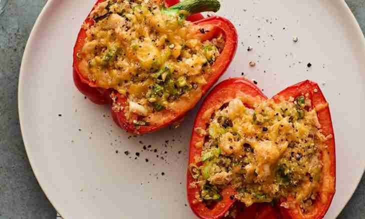How to stuff pepper: recipes