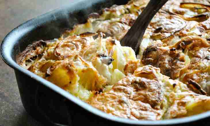Recipes for a picnic: potatoes and eggs on coals