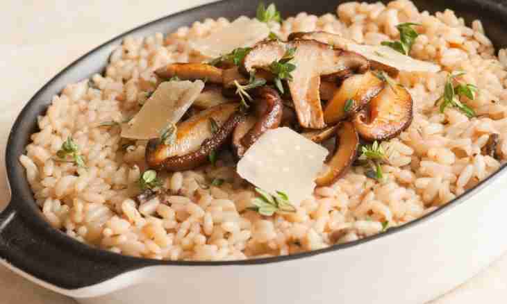 How to make champignons on a rice pillow
