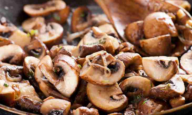 The most tasty combination of mushrooms and onions: how to prepare?