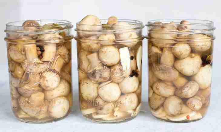 How to pickle champignons in house conditions