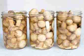How to pickle champignons in house conditions