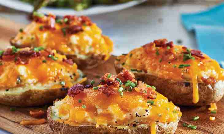Stuffed mushrooms with pepper and bacon