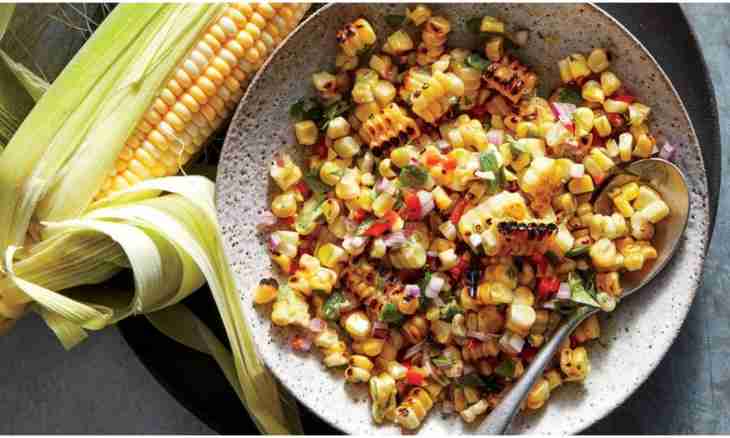 How to prepare corn on a grill with bacon, cheese and herbs