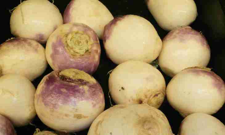 The stuffed turnip