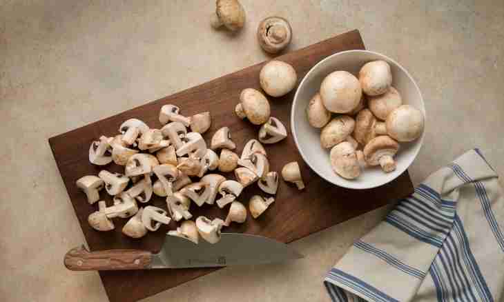 How to prepare a mushroom pocket