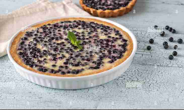 Finnish blueberry pie