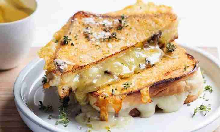 How to prepare toasts with cheese