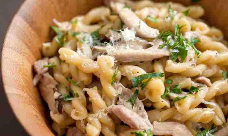 How to make champignons with chicken and cheese