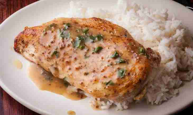 Chicken breast in a sweet sauce from mustard