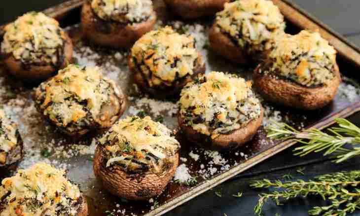 The champignons stuffed with cheese and nuts