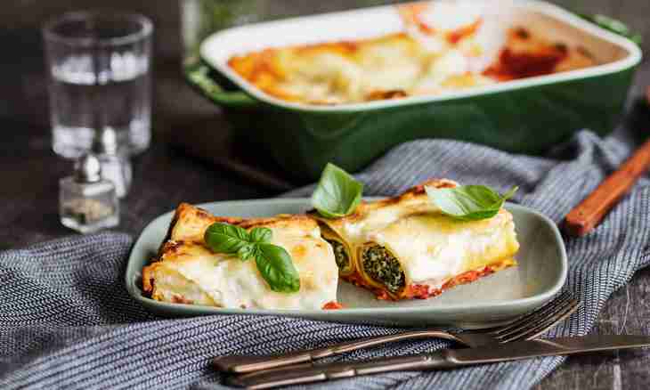 How to bake cannelloni under cheese
