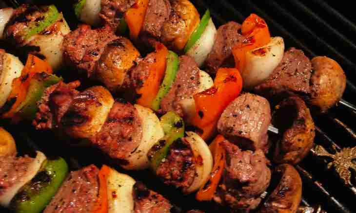 How to prepare a tasty shish kebab