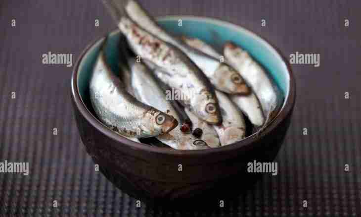 How to make salty herring it is unusual