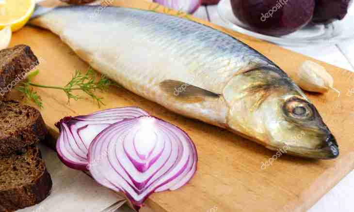 Herring of a house salting
