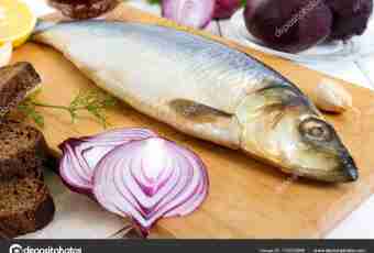 Herring of a house salting