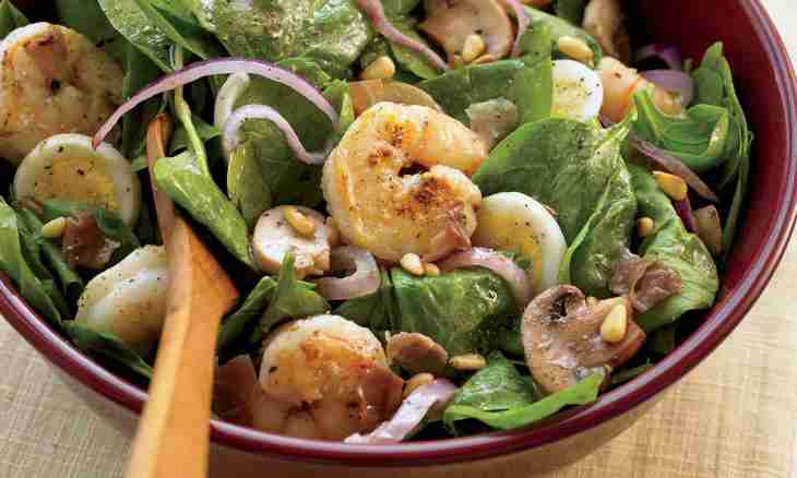 Summer light salads with shrimps