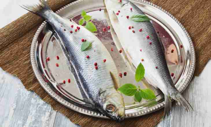 Herring: how to salt it in house conditions