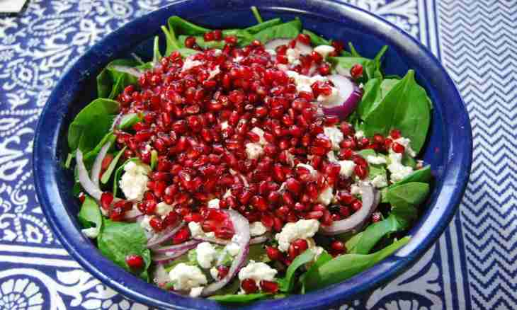 Recipe of Men's Tears salad with pomegranate and beef