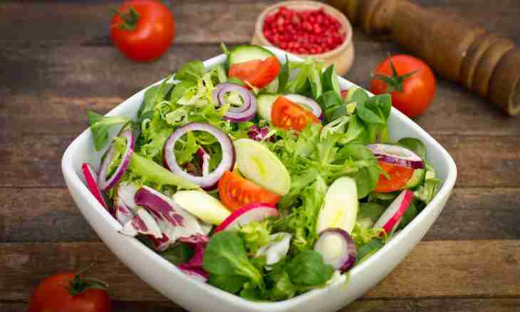 The best salad for drying of a body