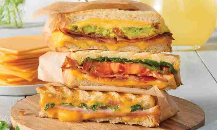 Sandwich with Dutch cheese and vegetables