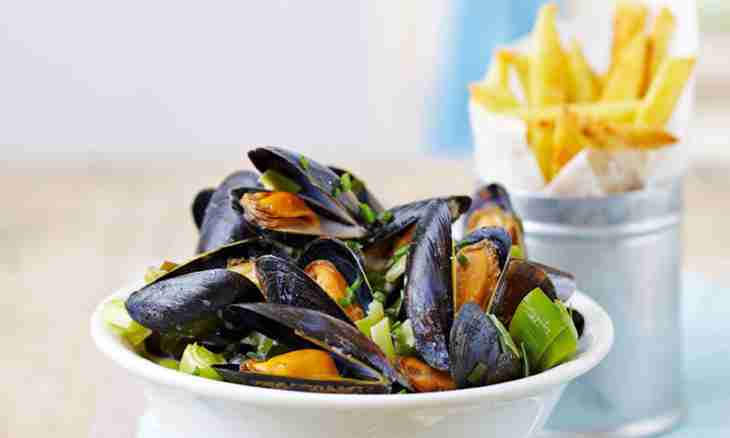 Several recipes of salad from mussels
