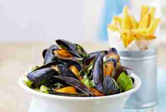 Several recipes of salad from mussels