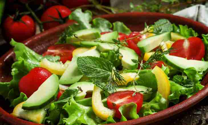 Light salad with cheese, tomatoes and greens