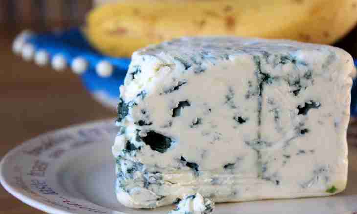 How to cook dishes with cheese "for "Dorblu"