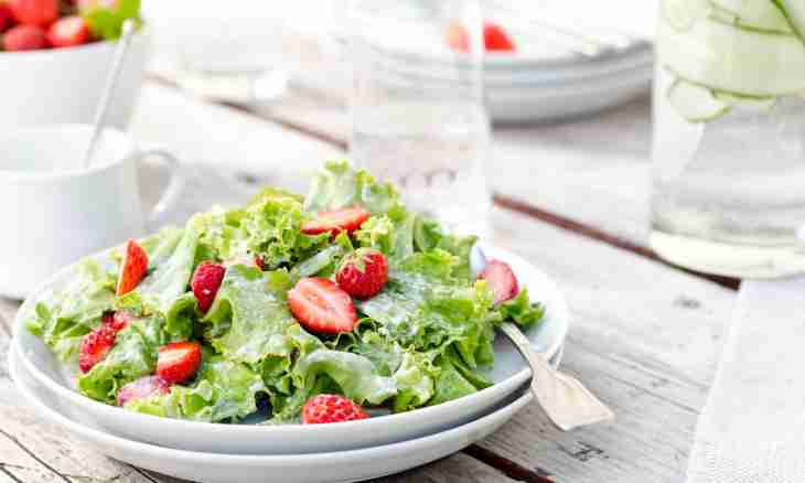 Recipe of fast option of Russian salad salad