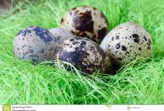 Potato nests with peas and quail eggs