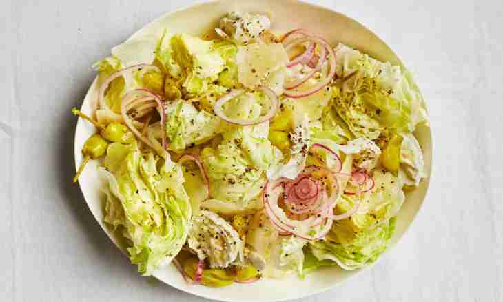 Salad iceberg: preparation of tasty and useful dishes