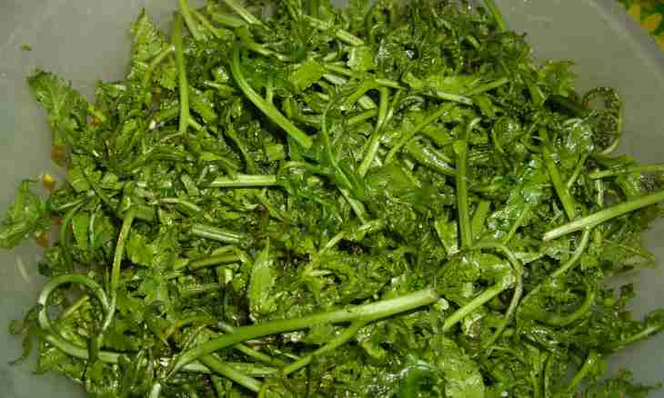 How to make fern salad