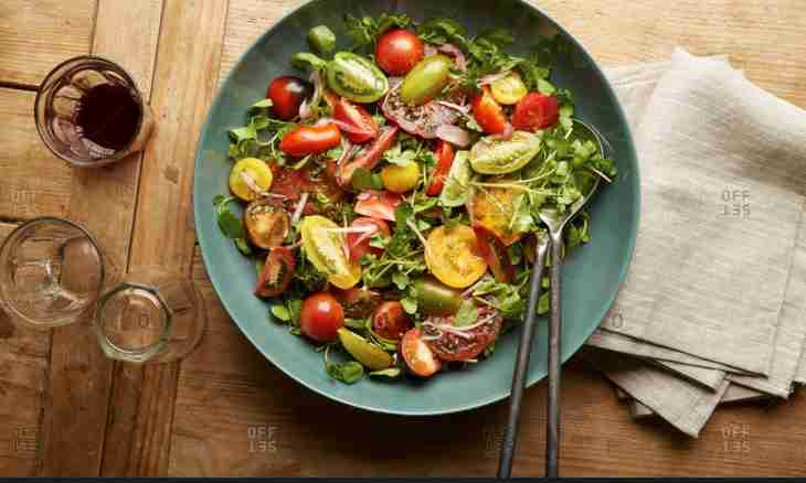 Recipes of salads with cherry tomatoes